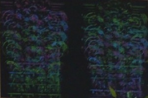 Nordbad 2012